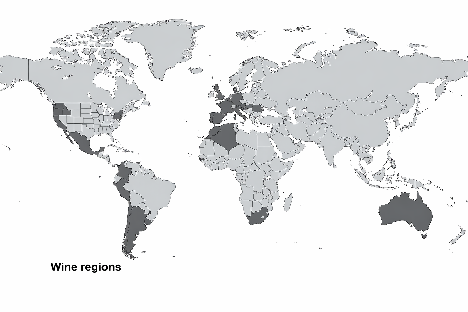 World Map